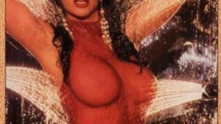 Playboy: Wet & Wild 3 (1991)